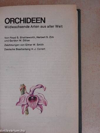 Orchideen