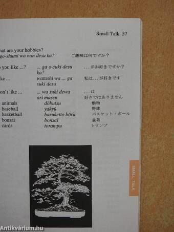 Japanese phrasebook