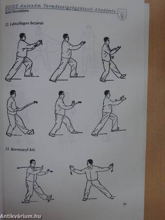 Tai Chi Chuan és Chi Kung a mozgásterápiában