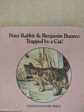 Peter Rabbit & Benjamin Bunny: Trapped by a Cat!