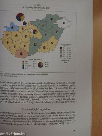 A humán erőforrások regionális sajátosságai az átmenetben