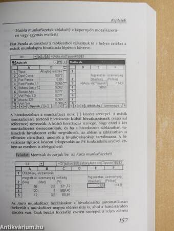 Excel for Windows '95