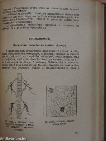 Csecsemőgondozónők és gyermekápolónők tankönyve I.