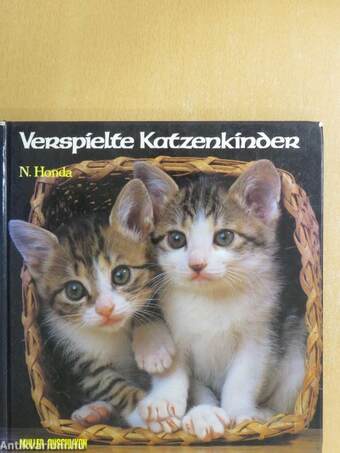 Verspielte Katzenkinder