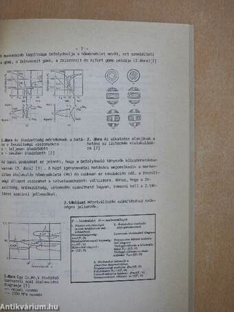 Jubileumi tudományos ülésszak