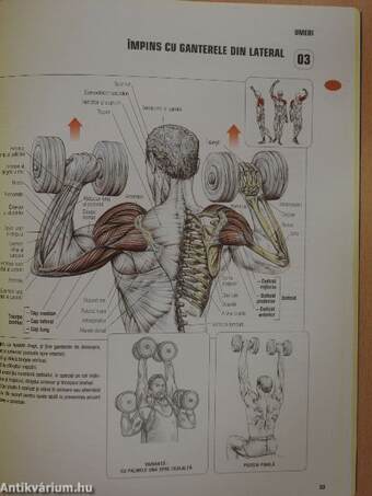 Anatomia unui corp perfect