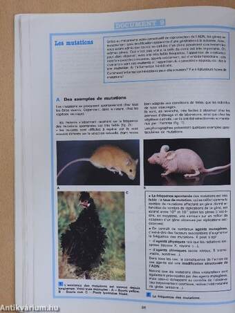 Biologie - Terminale D