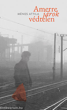 Amerre járok védtelen