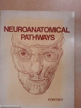 Neuroanatomical Pathways