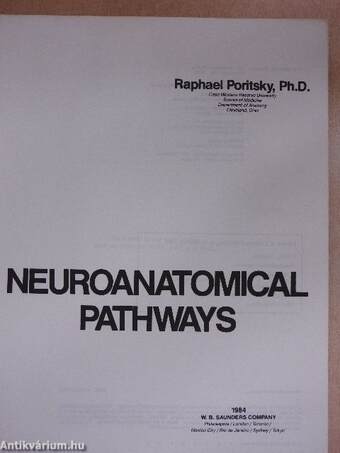 Neuroanatomical Pathways