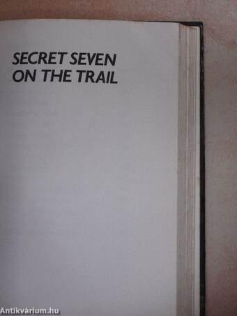 The Adventures of the Secret 7