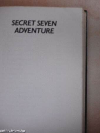 The Adventures of the Secret 7