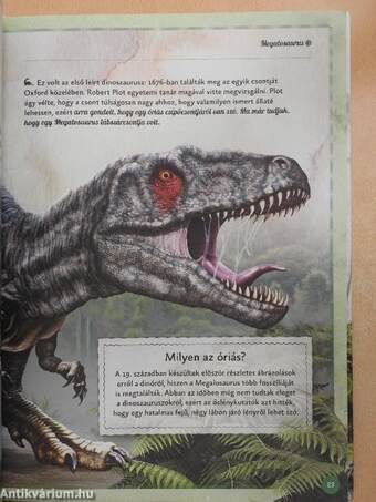 Varázslatos útmutató a dinoszauruszokhoz