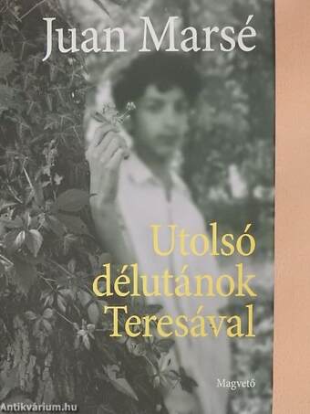 Utolsó délutánok Teresával