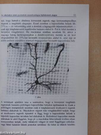 A hallássérült gyermekek korai fejlesztése