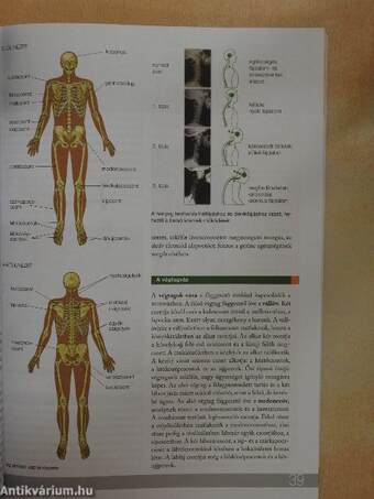 Biológia 11.