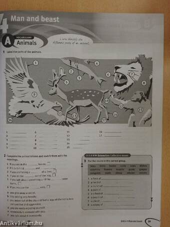 Solutions - Upper-Intermediate - Workbook