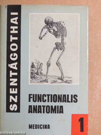 Functionalis anatomia 1.
