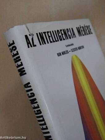 Az intelligencia mérése