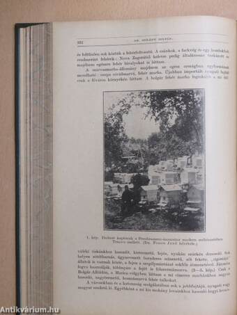 Természettudományi Közlöny 1931. január-december/Pótfüzetek a Természettudományi Közlönyhöz 1931. január-december