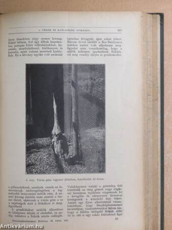 Természettudományi Közlöny 1932. január-december/Pótfüzetek a Természettudományi Közlönyhöz 1932. január-december