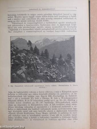 Természettudományi Közlöny 1930. január-december/Pótfüzetek a Természettudományi Közlönyhöz 1930. január-december