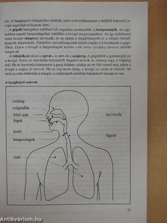 Érettségi témakörök, tételek - Magyar nyelv