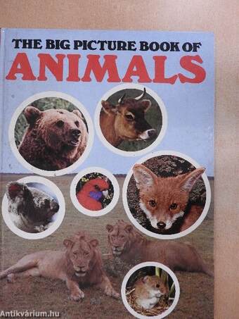 The Big Picture Book of Animals