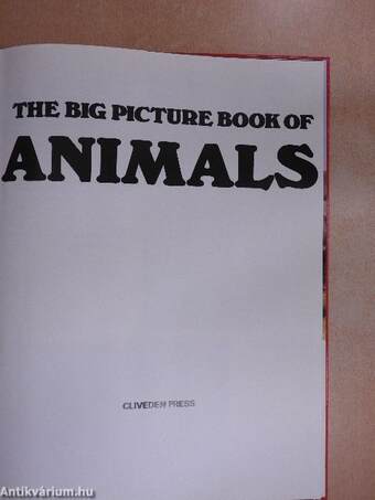 The Big Picture Book of Animals