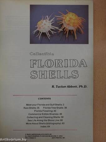 Collectible Florida Shells