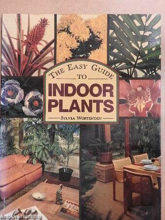 The Easy Guide to Indoor Plants