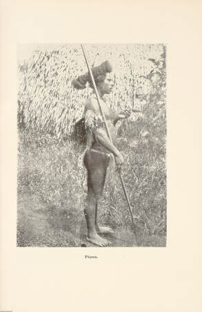 Hét év a kannibálok földjén