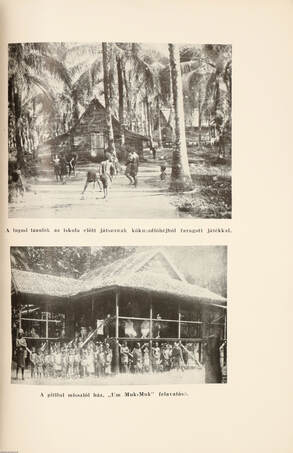 Hét év a kannibálok földjén