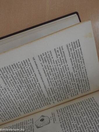 Általános bakteriológia