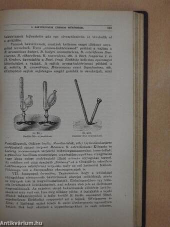 Általános bakteriológia