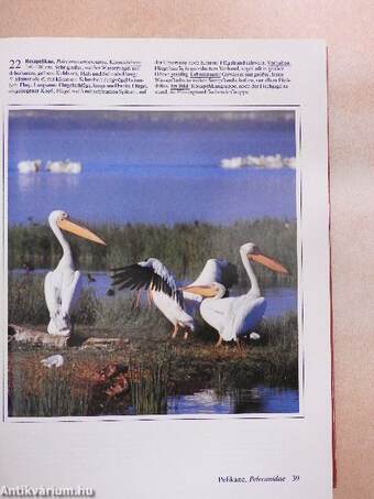 Fotoatlas der Vögel