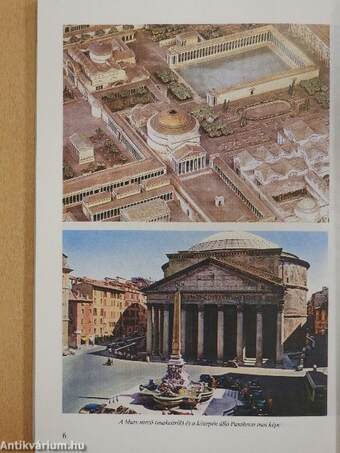 Latin nyelvkönyv I.