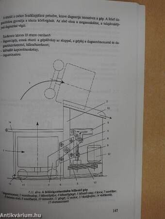 Sütőipari termékek gyártása kis- és középüzemekben