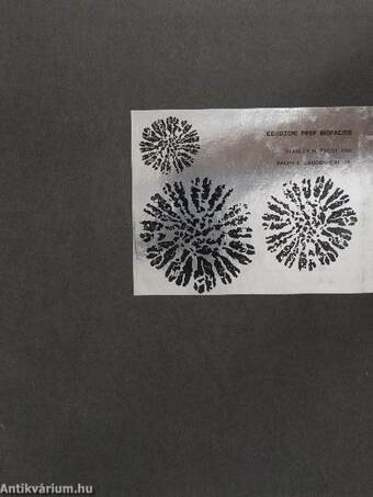 Cenozoic Reef Biofacies