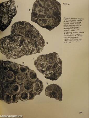 Cenozoic Reef Biofacies