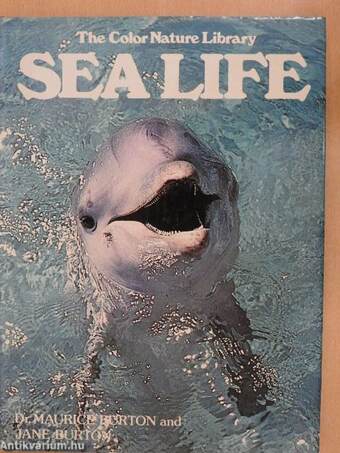 Sea Life