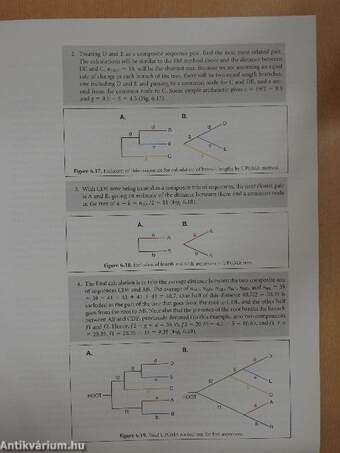 Bioinformatics