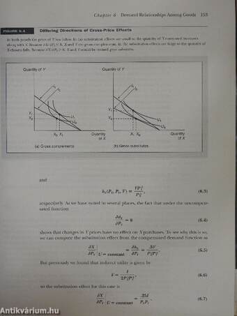 Microeconomic Theory