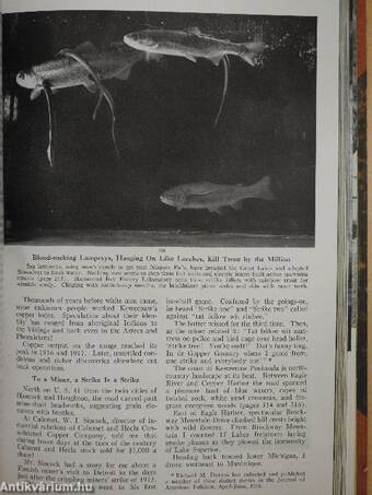 The National Geographic Magazine January-December 1952. I-IV