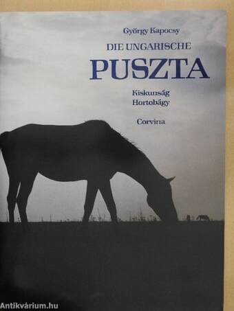 Die Ungarische Puszta