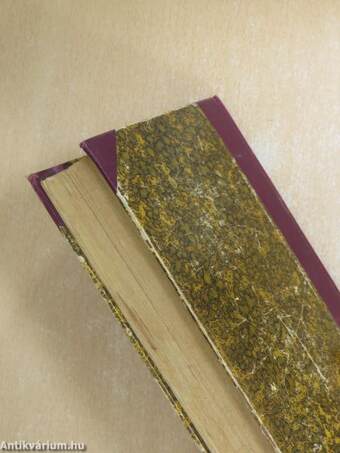 Egy polgárcsalád története