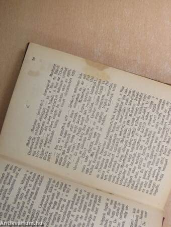 Egy polgárcsalád története