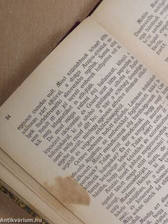 Egy polgárcsalád története