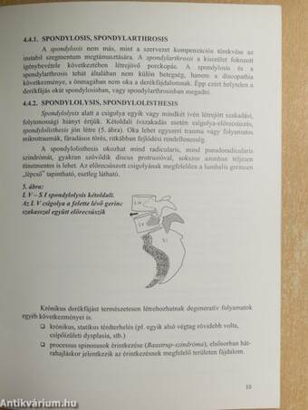 Módszertani ajánlás a derékfájás diagnosztikájának és terápiájának elveire