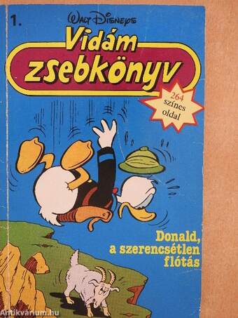 Donald, a szerencsétlen flótás